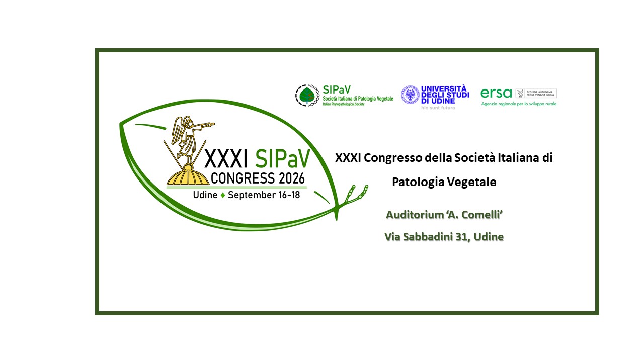 Locandina XXXI SIPaV Congress